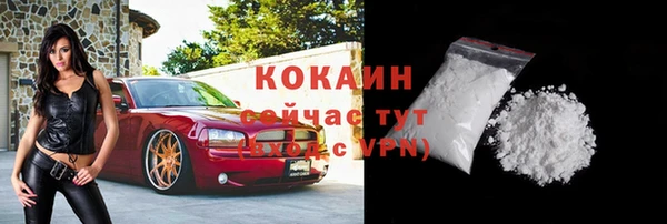 шишки Карталы